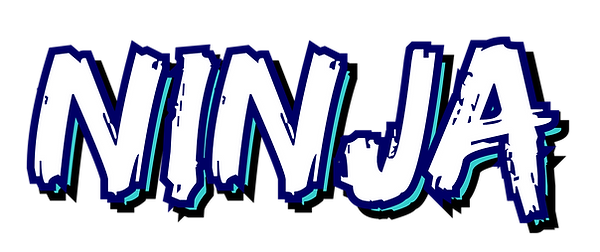 Number Ninja.png