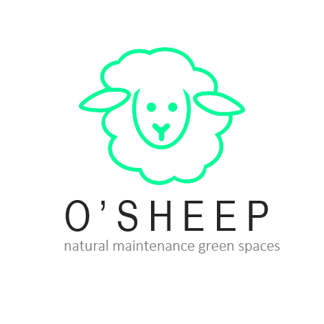 O'SHEEP