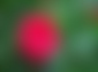 Good stuff happens every day in our world.