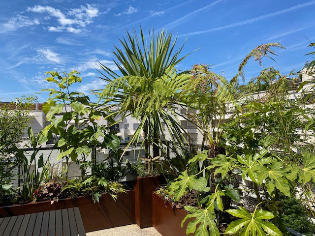 Agence Factio x Desouche Parcs et Jardins