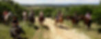 randonnee-cheval-poney-saint-ambroix.jpg