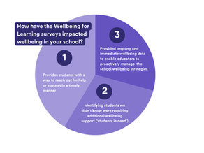 Impactful Student Wellbeing Support Mechanisms