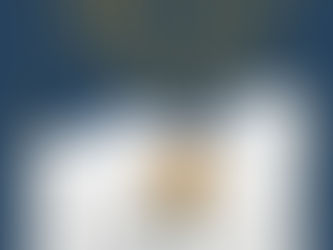 🤷♂️The Notted Island (2025)