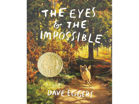 👍The Eyes & the Impossible (2023)
