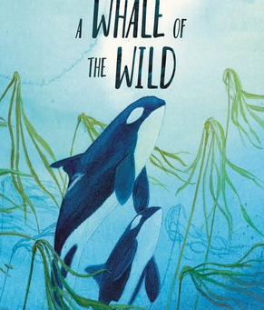✨A Whale of the Wild