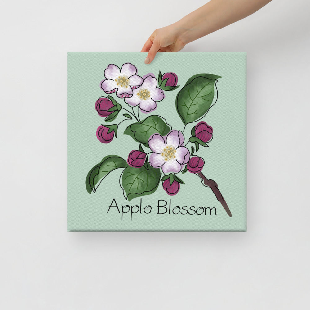 Apple Blossom Canvas Print