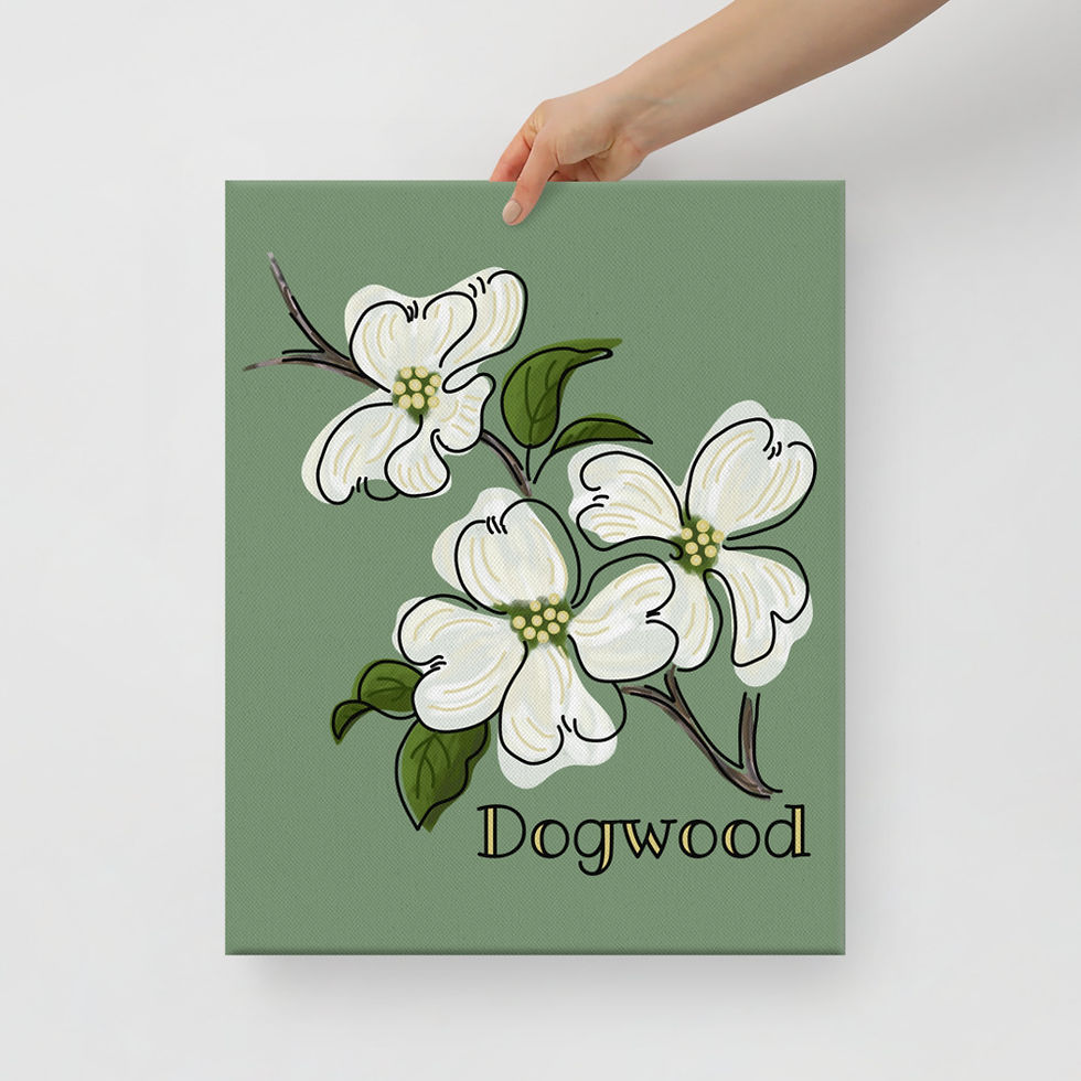 Thumbnail: Dogwood Canvas Print