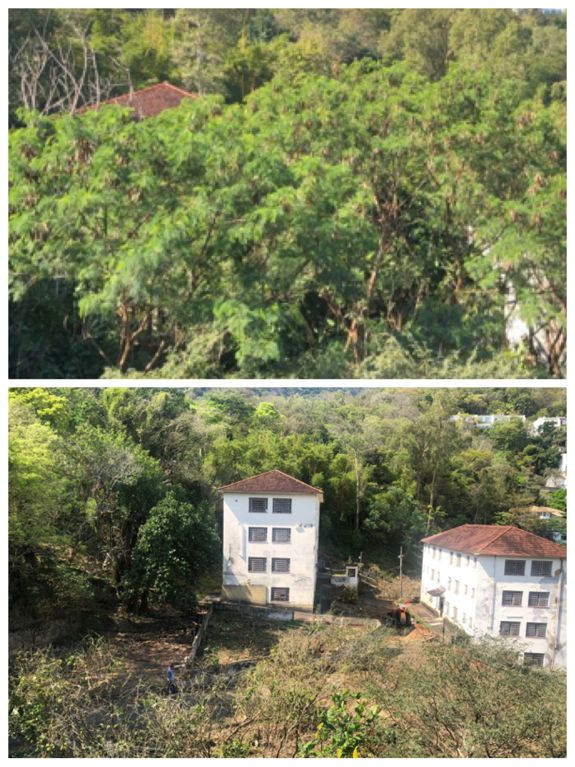 Antes, com vegetação (não se viam os predios), e depois do desmatamento