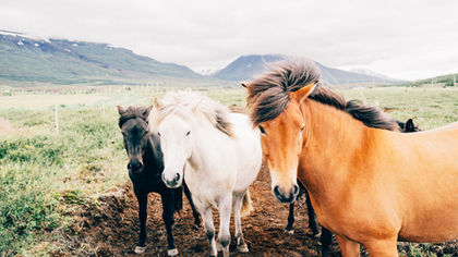 JULIO CESAR VILLEGAS | Three Poems