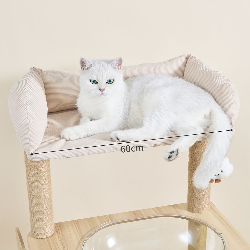 Thumbnail: Wooden Cat Tree with Scratching Post