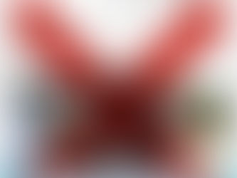 ဘူးသီးေတာင္ၿမိဳ႕ထိပ္ထူးေပါက္ေတာင္တန္းမိုင္းမ်ားေပါက္ျခင္းႏွင့္ပတ္သက္၍ျငင္းဆိုသည့္ထုတ္ျပန္ေၾကညာခ်က္