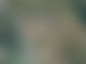 ၂၀၂၀ ျပည့္၊ ေအာက္တိုဘာ(၄) ရက္၊ရခိုင္ျပည္တိုက္ပြဲသတင္းမ်ား