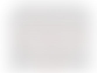 Apprising global media of our struggle for political freedom