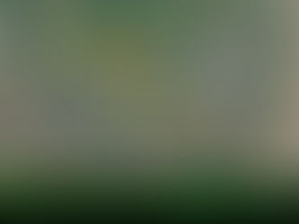 ဗမာ့လက္နက္ကိုင္တပ္မွပုဏၰားကြၽန္းၿမိဳ႕အတြင္းသို႔ဝင္ေရာက္ၿပီးအၾကမ္းဖက္ျခင္းႏွင့္ပတ္သက္၍ျဖစ္စဥ္ျဖစ္ရပ္