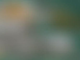 လကၠာေက်းရြာ အတြင္းမွ အိမ္ေပါင္း(၂၀၀) ေက်ာ္အား ျမန္မာ့တပ္မေတာ္မွ မီးရိႈ႕ဖ်က္ဆီးသည့္သတင္း