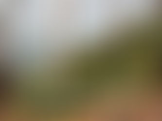 ၂၀၁၉ ခုႏွစ္၊ နိုဝင္ဘာလ(၂၅) ရက္၊ရခိုင္ျပည္တိုက္ပြဲသတင္းမ်ား