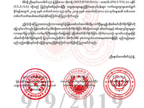 ညီေနာင္မဟာမိတ္(၃)ဖြဲ႕၏ တစ္လတာ တစ္ဖက္သတ္ အပစ္အခတ္ရပ္ဆိုင္းသည့္ ထုတ္ျပန္ေၾကညာခ်က္