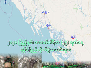 ၂၀၂၀ ျပည့္ႏွစ္၊ ေဖေဖာ္ဝါရီလ(၂၅)ရက္ ရခိုင္ျပည္တိုက္ပြဲသတင္းမ်ား