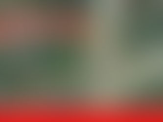 ပုဏၰားကြ်န္းၿမိဳ႕နယ္၊ ေက်ာက္ဆိပ္ရြာမွ ရြာသူ/ရြာသား(၃၈) ဦးအား ျမန္မာ့တပ္မေတာ္မွ ဖမ္းဆီးေခၚယူ