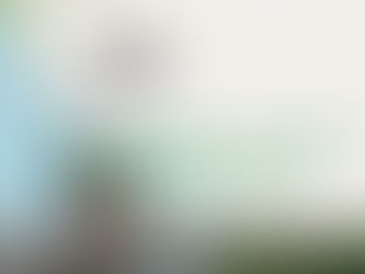 ၂၀၂၀ ခုႏွစ္၊ ဇန္နဝါရီလ(၄/၅) ရက္၊ ရခိုင္ျပည္တိုက္ပြဲသတင္းမ်ား