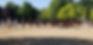 GROUP PIC.jpeg