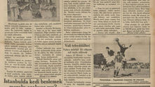 Akşam - 16 Temmuz 1934