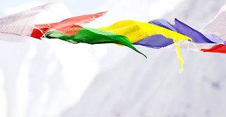 AEnB2UrhMfYeq6mfIrLen9_hxWvvBaqK6nZckLnhkmL5_huvfAVRgWI4D19T69VjL1GnR9kIo9NYoDZtg4kRqZziIA