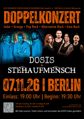 Final_Plakat(kleiner) - DOSIS + STEHAUFMENSCH.png