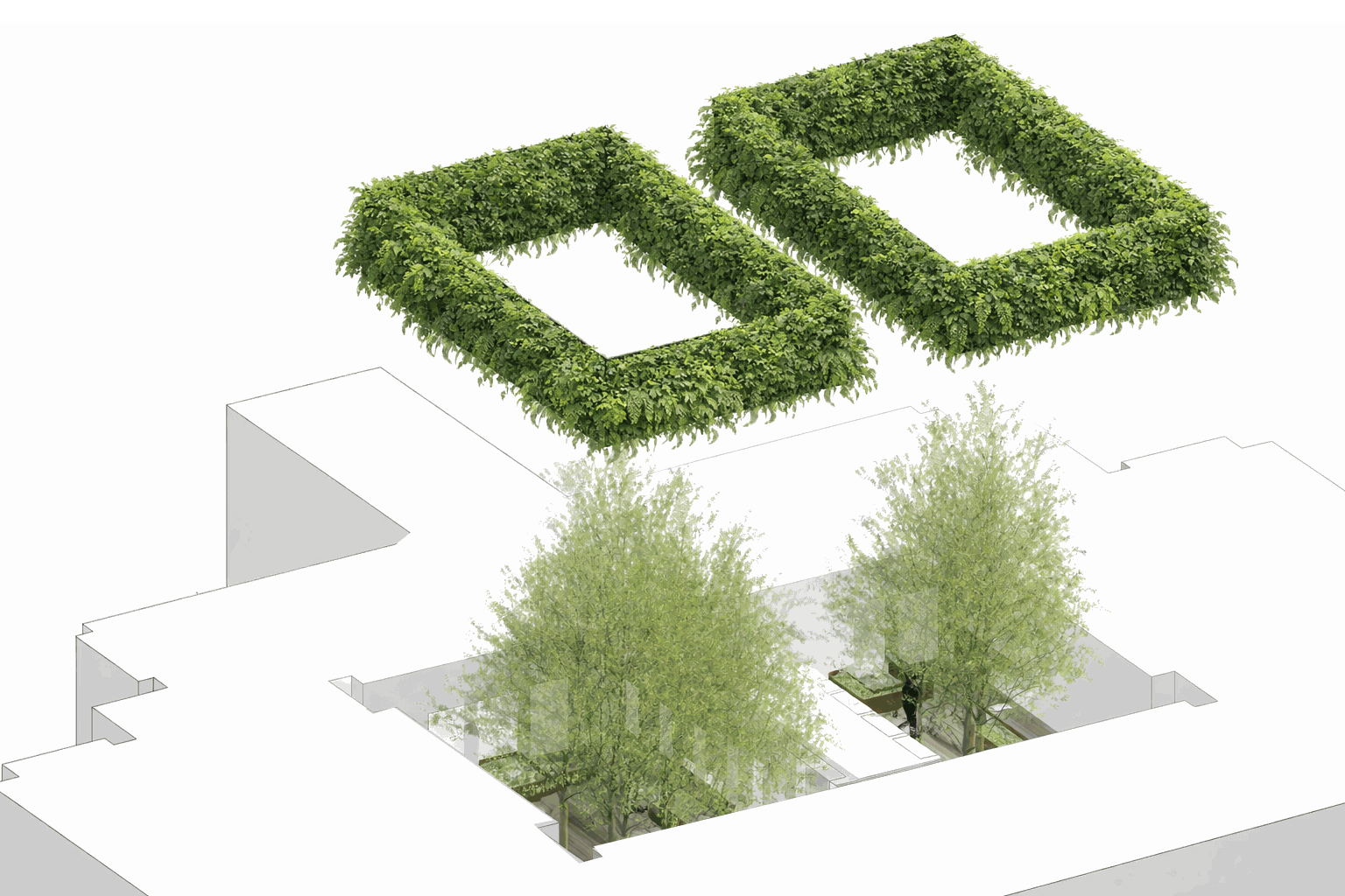 vegetated_transition_iso_v2