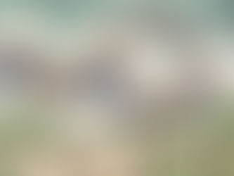 YARASA MI KUZU – KUZU MU YARASA