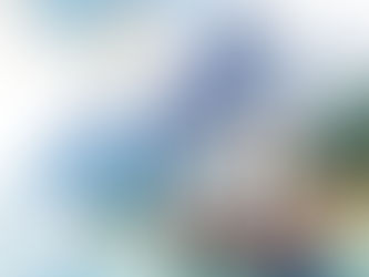 BARBAROS HAYRETTİN PAŞA