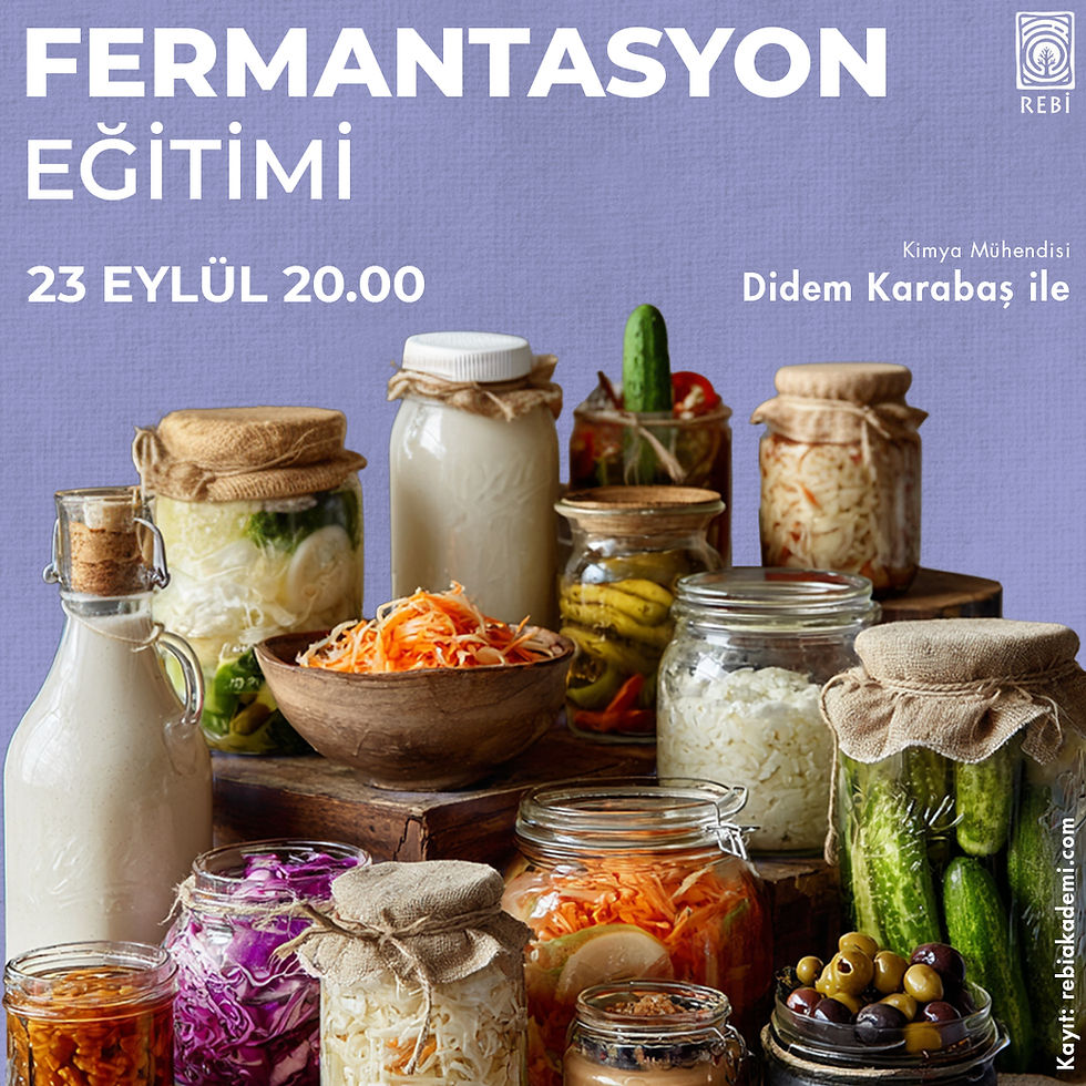Fermantasyon Atölyesi