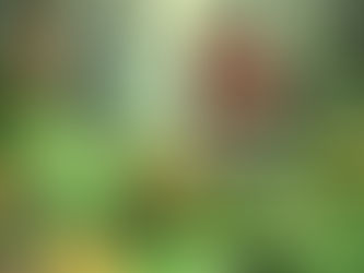 BUĞDAYIN MUCİZESİ