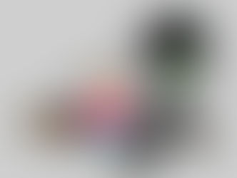 ZOMBİ GORİS’İN ANILARI