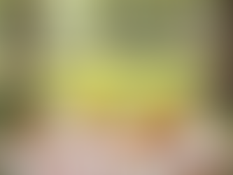 OSMANLI’DA ÇOCUK OLMAK