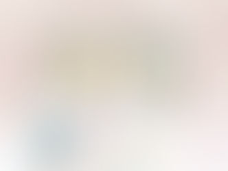 BİR GÜNLÜK DÜNYA MACERASI