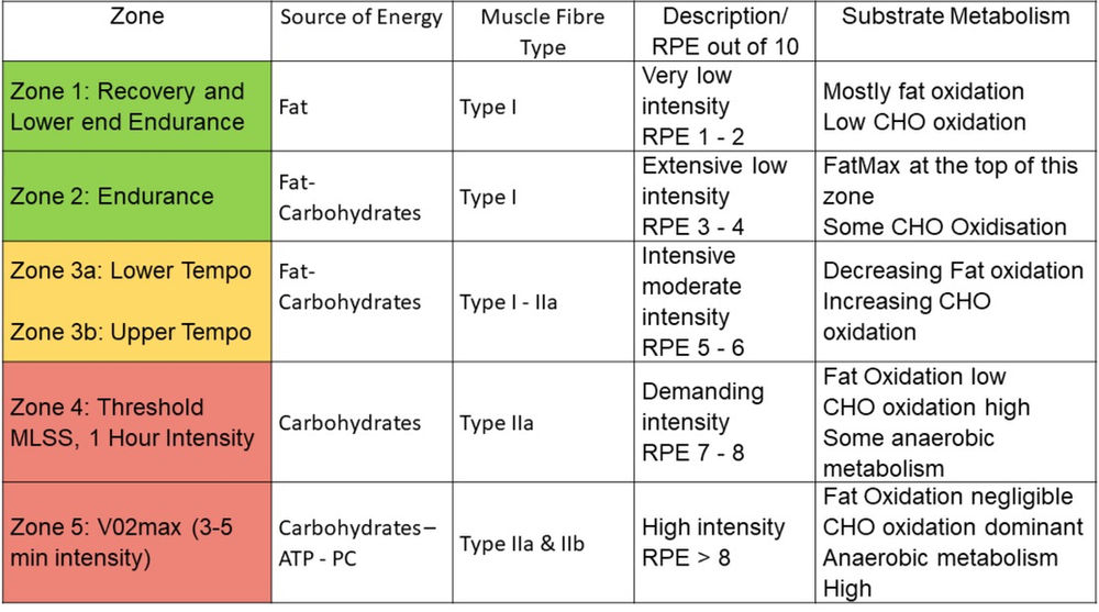 Zone 2 Training What's the Big Deal?