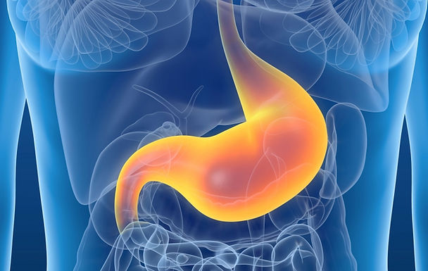 Avoid GI Issues: How to Fuel Racing and Training