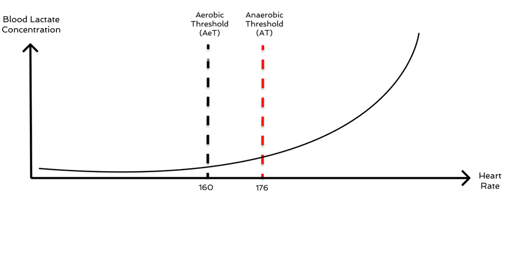 What is the Aerobic Threshold?