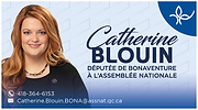Députée Catherine Blouin - format carte d'affaire.png