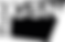 GSN.png