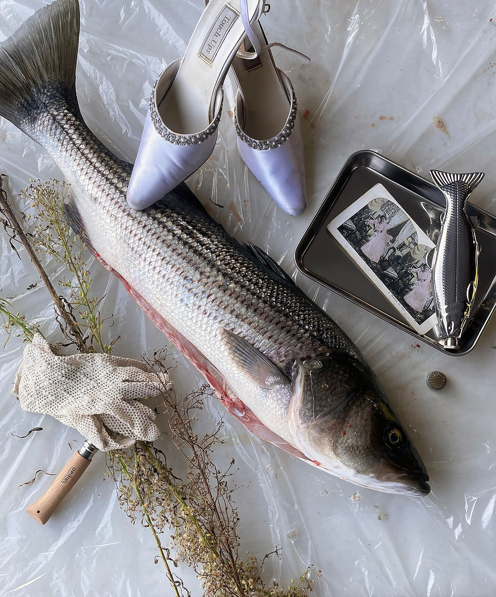 Marie Ségolène Brault