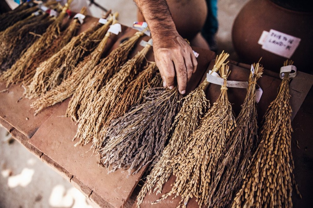 Foods mentioned in ancient Indian scripture