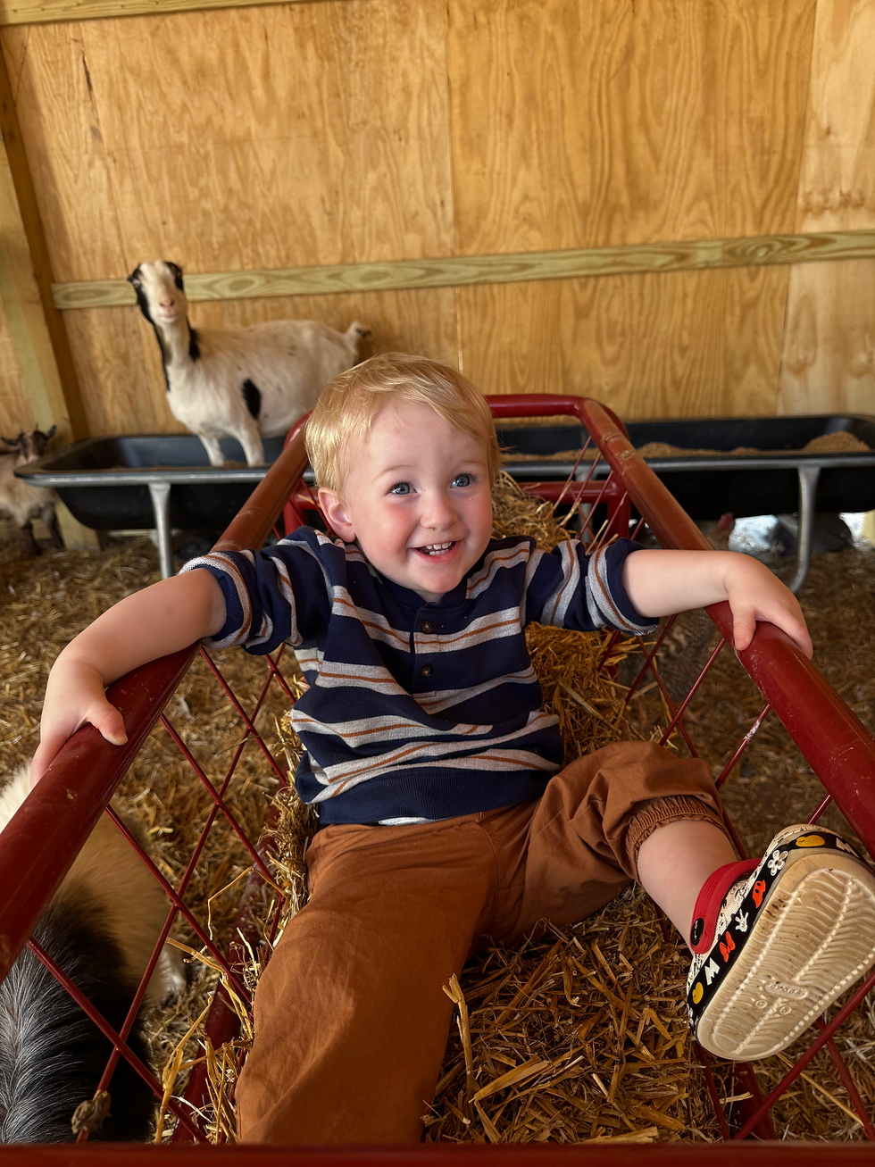 Liam in the Hay feeder