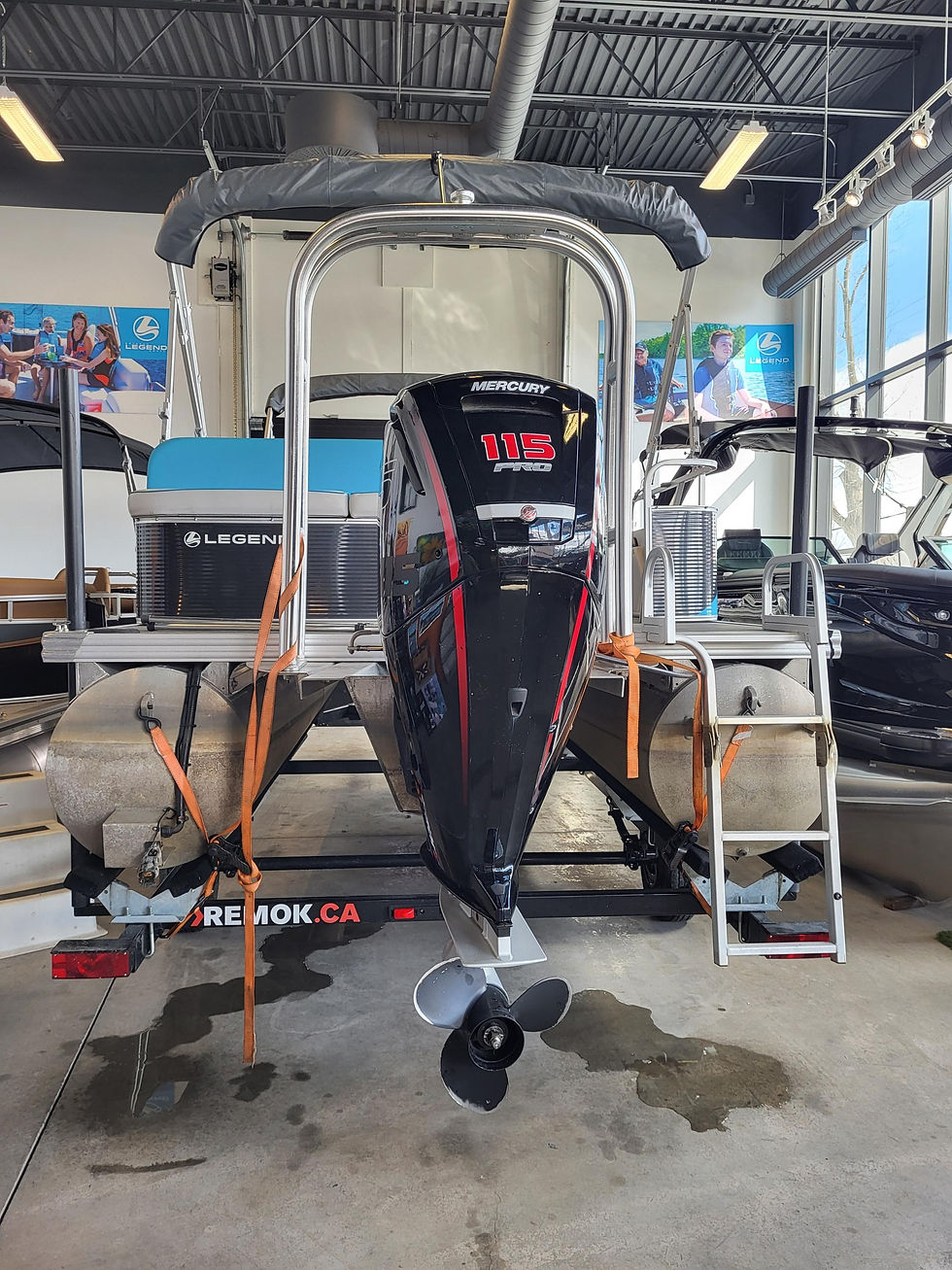 Miniature : PONTON LEGEND 19 SPLASH COTTAGE 2019