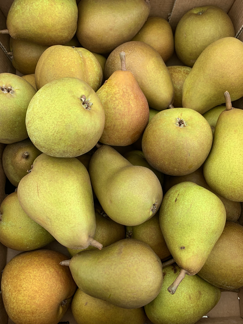 Locally grown Comice Pears from Ringden Farm in East Sussex. When in season we also stock their Conference and Concorde pears