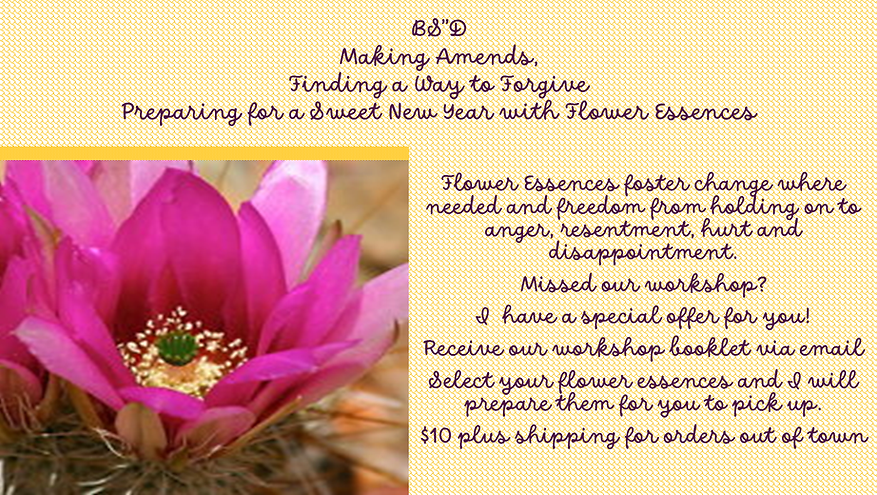 new 2024 Making Amends flyer.png
