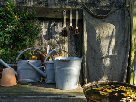 Discover Expert Garden Supplies and Nursery Products