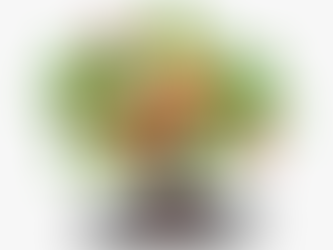 Apples: Stories from the Orchard