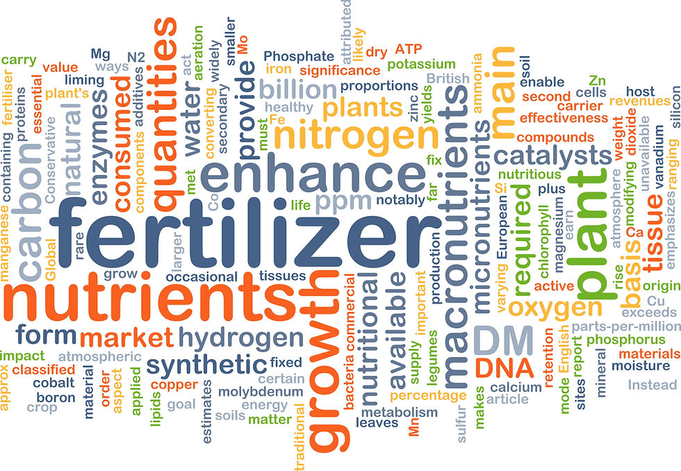 Fertilizer is only one of many things that affect a plants health